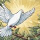 symbolism of white dove