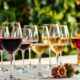 top wine glasses selection