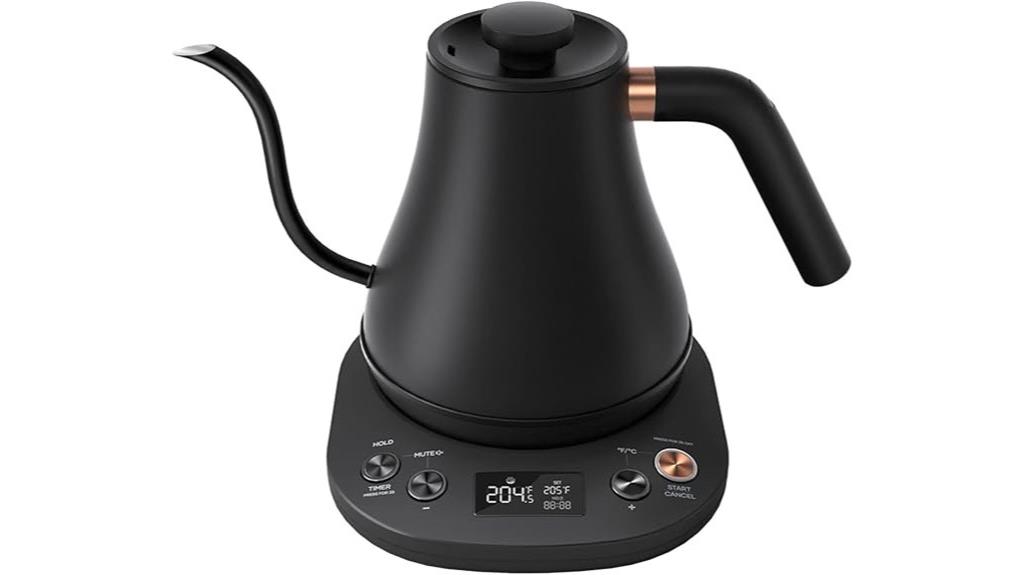temperature controlled electric kettle