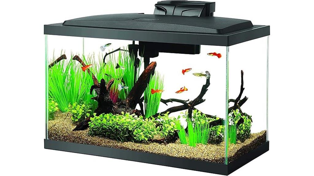 10 gallon fish tank kit