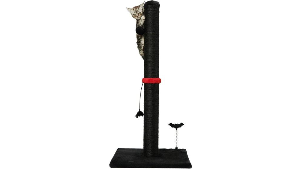 cat scratching post features