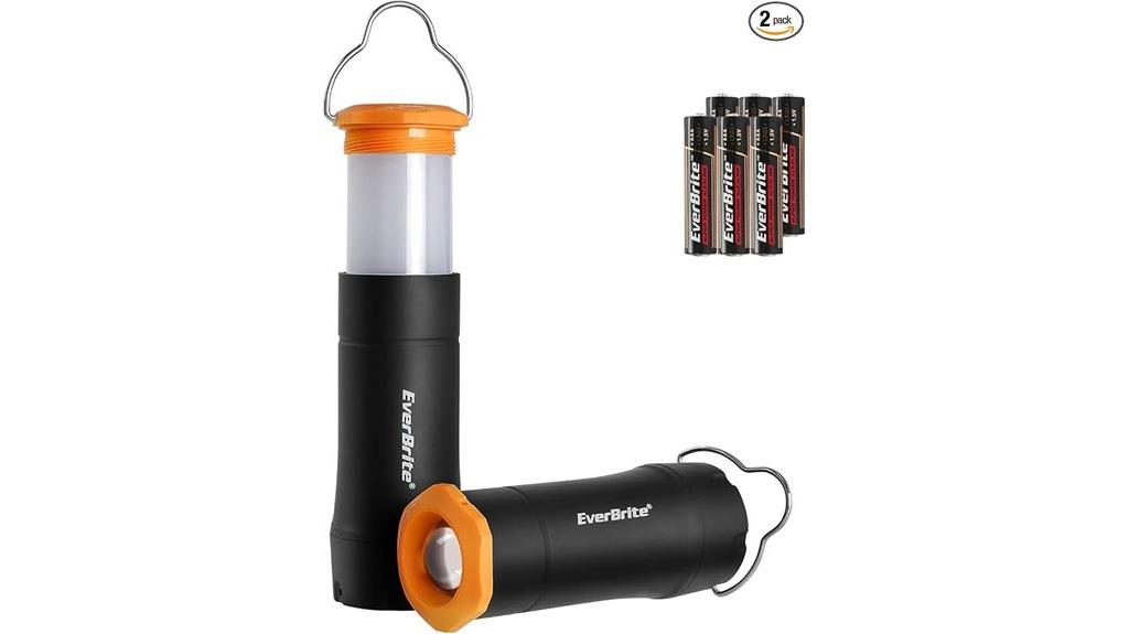 dual portable lighting set