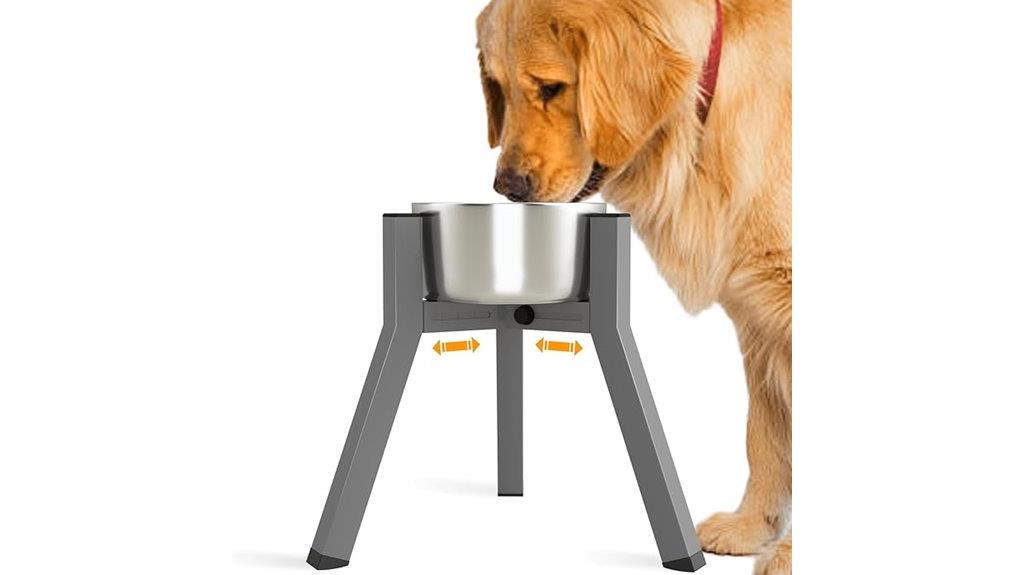 elevated dog bowl stand