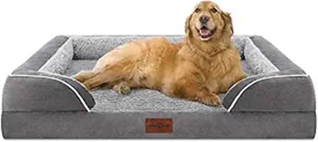 extra large orthopedic bed