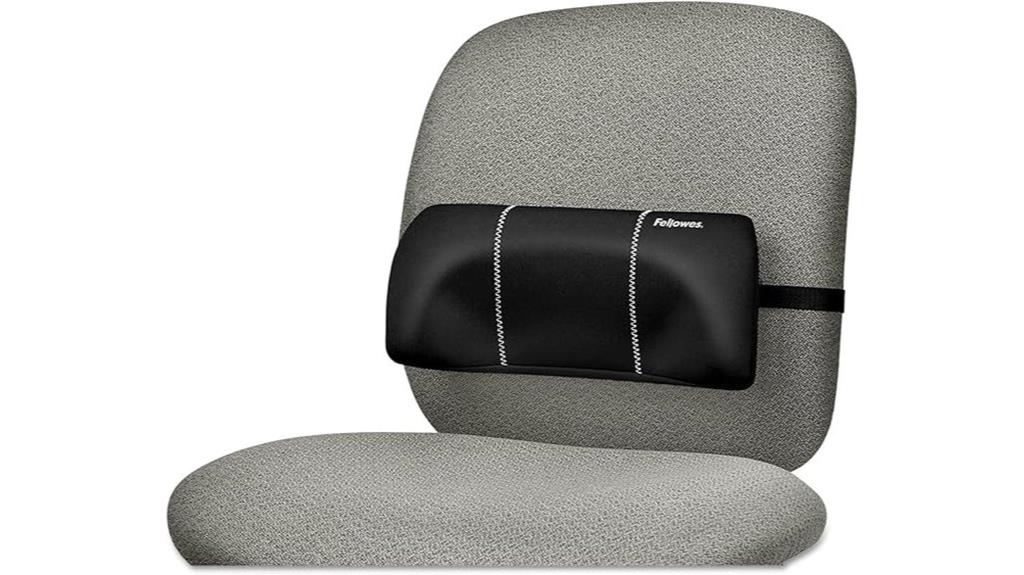 fellowes lumbar back support