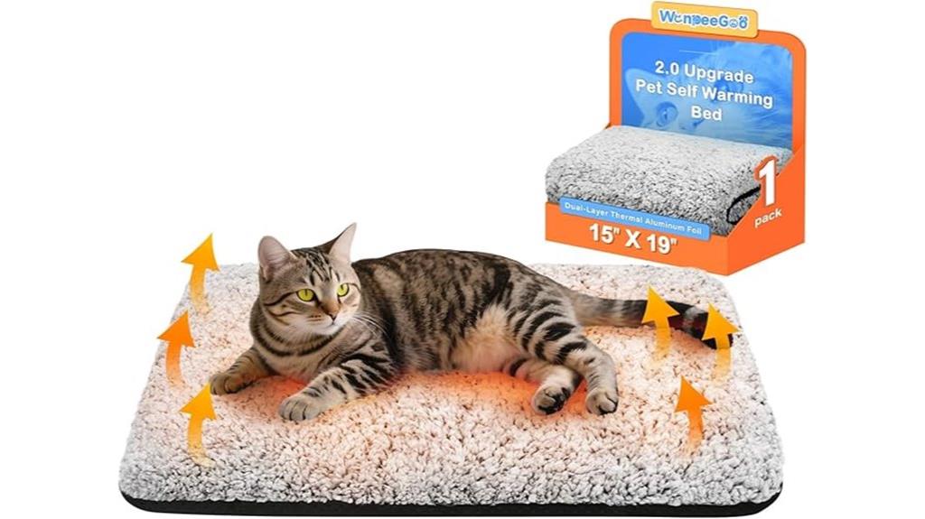 heated cat bed with removable cover