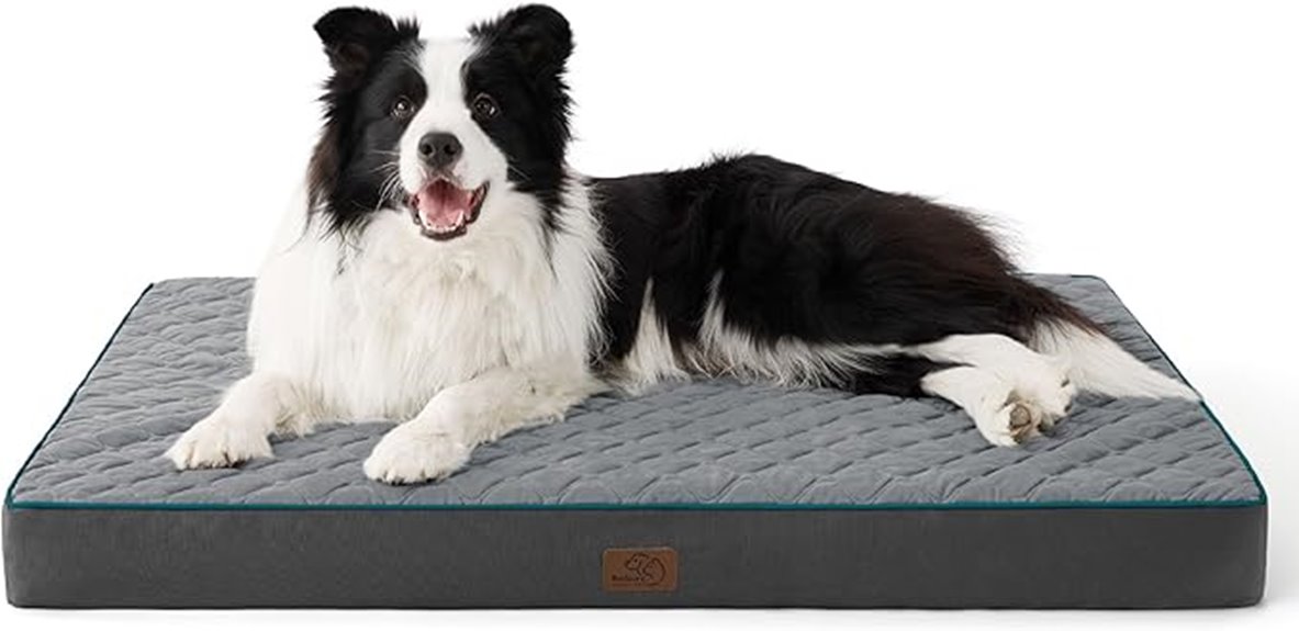 large grey orthopedic bed
