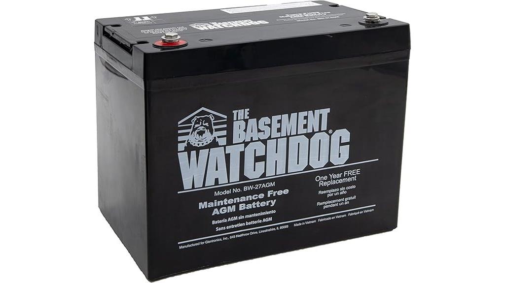 maintenance free sump battery