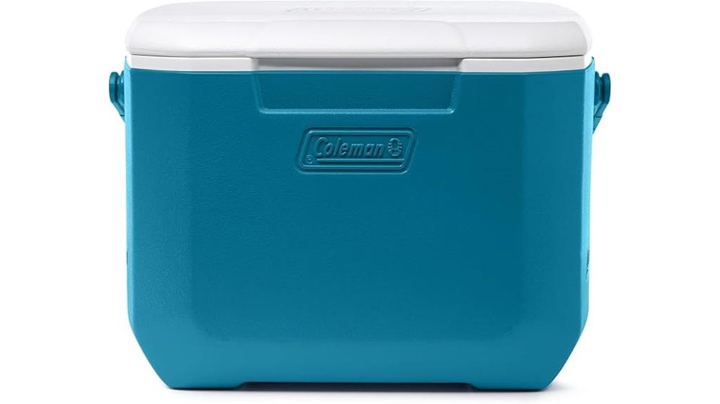 portable 16 quart insulated cooler