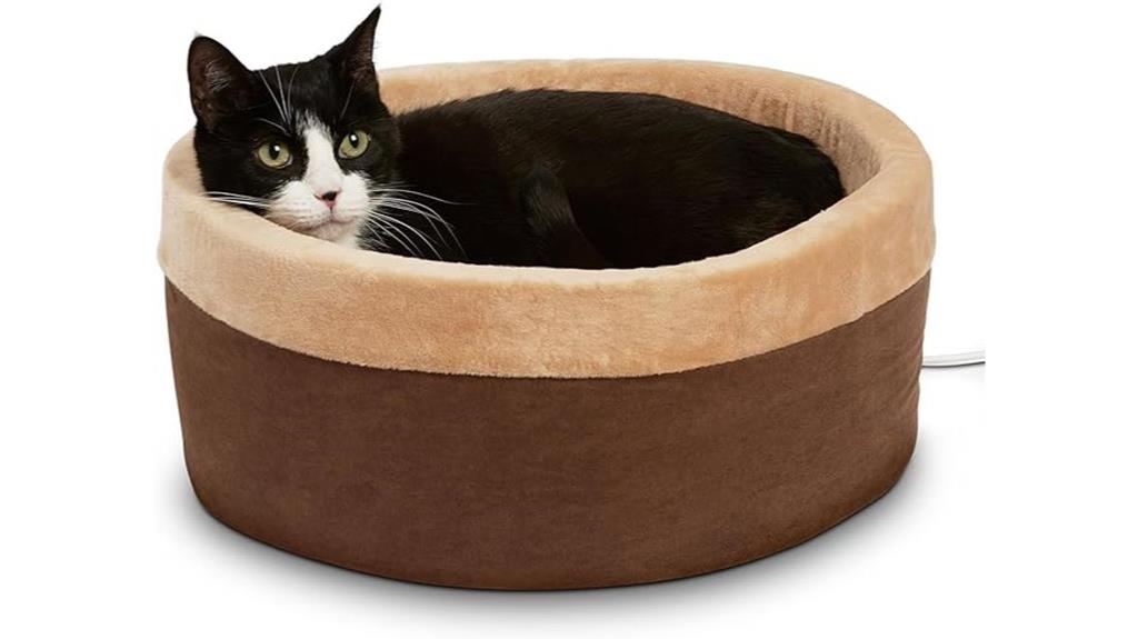 small heated pet bed