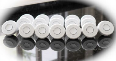 top leak detectors for home