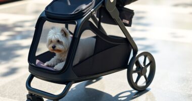 top small dog strollers