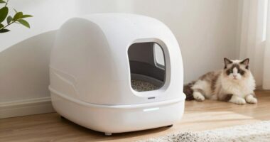 automated odor control system