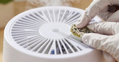 humidifier biofilm prevention routine