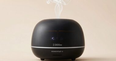 top 15 1000ml diffusers