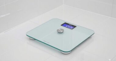 top 15 body composition scales