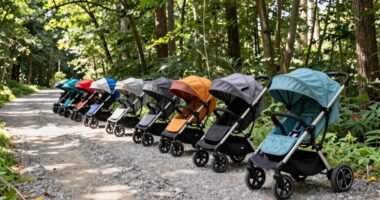 top 15 off road baby wagons