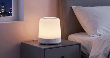 top adult sleep noise machines