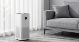top air purifier humidifier combos