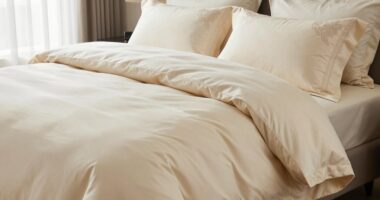 top egyptian cotton duvet sets