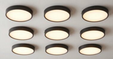 top flush mount ceiling lights