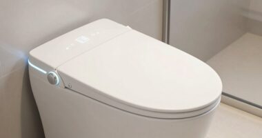 top heated bidet seats