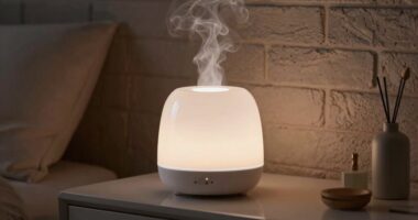 top luxury apartment diffusers