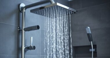 top rain shower with handheld