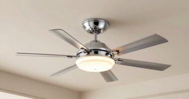 top smart fan lights