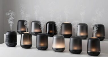 top waterless diffuser picks