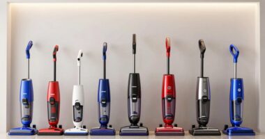 top wet dry vacuums