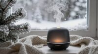 top winter diffuser selections