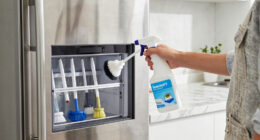 11 Best Best Ice Maker Cleaner Descaler Kit in 2026