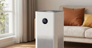 air purifier sizing explained