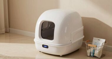 automatic odor control routine