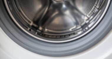 clean gasket and drum