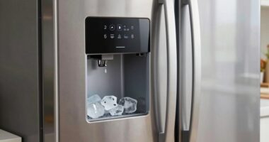 fridge ice maintenance tips