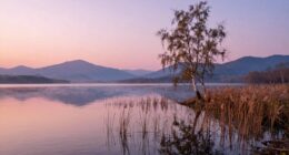 hope during difficult times