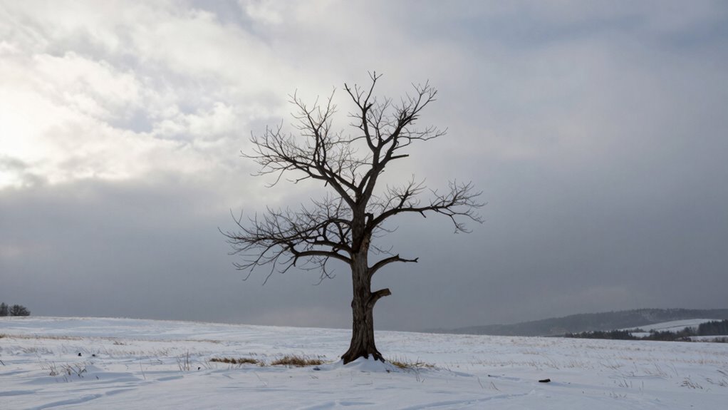 hope endures through resilience
