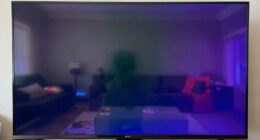 oled burn in concerns