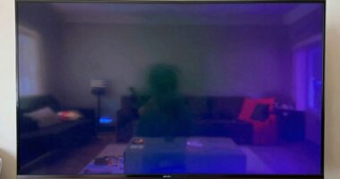 oled burn in concerns
