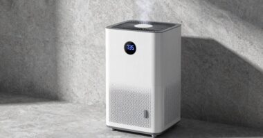 optimal humidity control