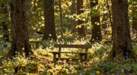 quotes on forgivingness