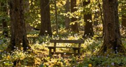 quotes on forgivingness