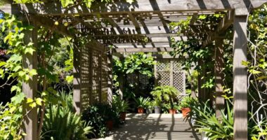 shade angle considerations