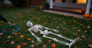 15 Best Halloween Lawn Skeleton Decorations for 2027
